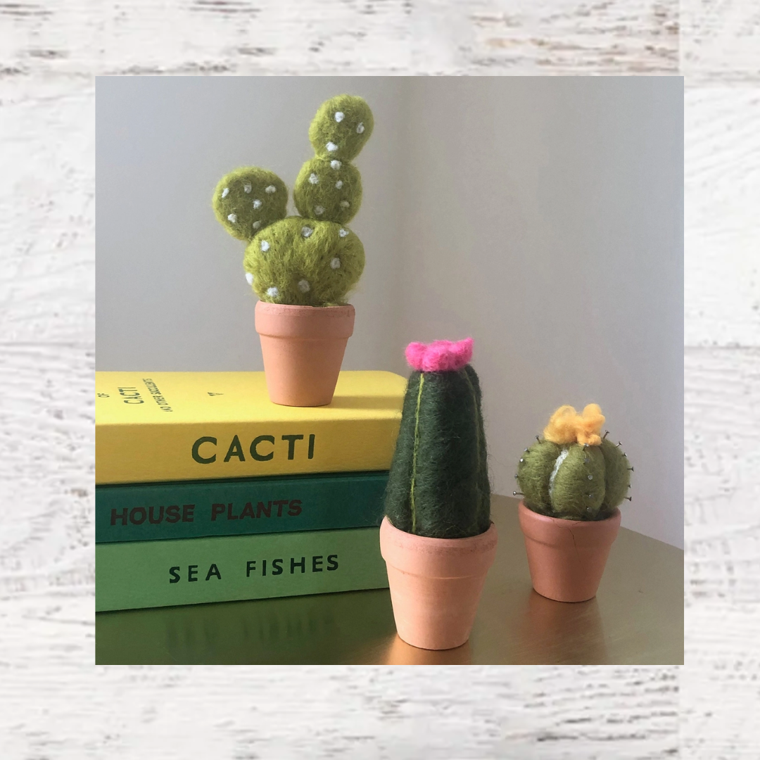 #color_cactus