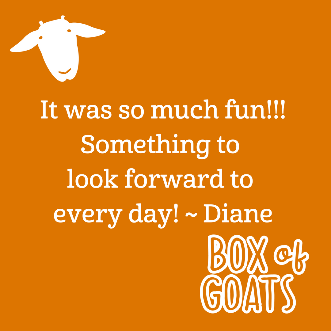 Box of Goats.